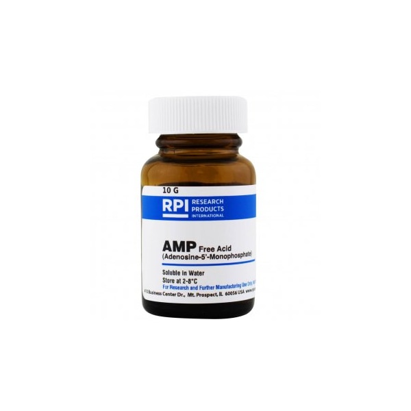 AMP, 10 G